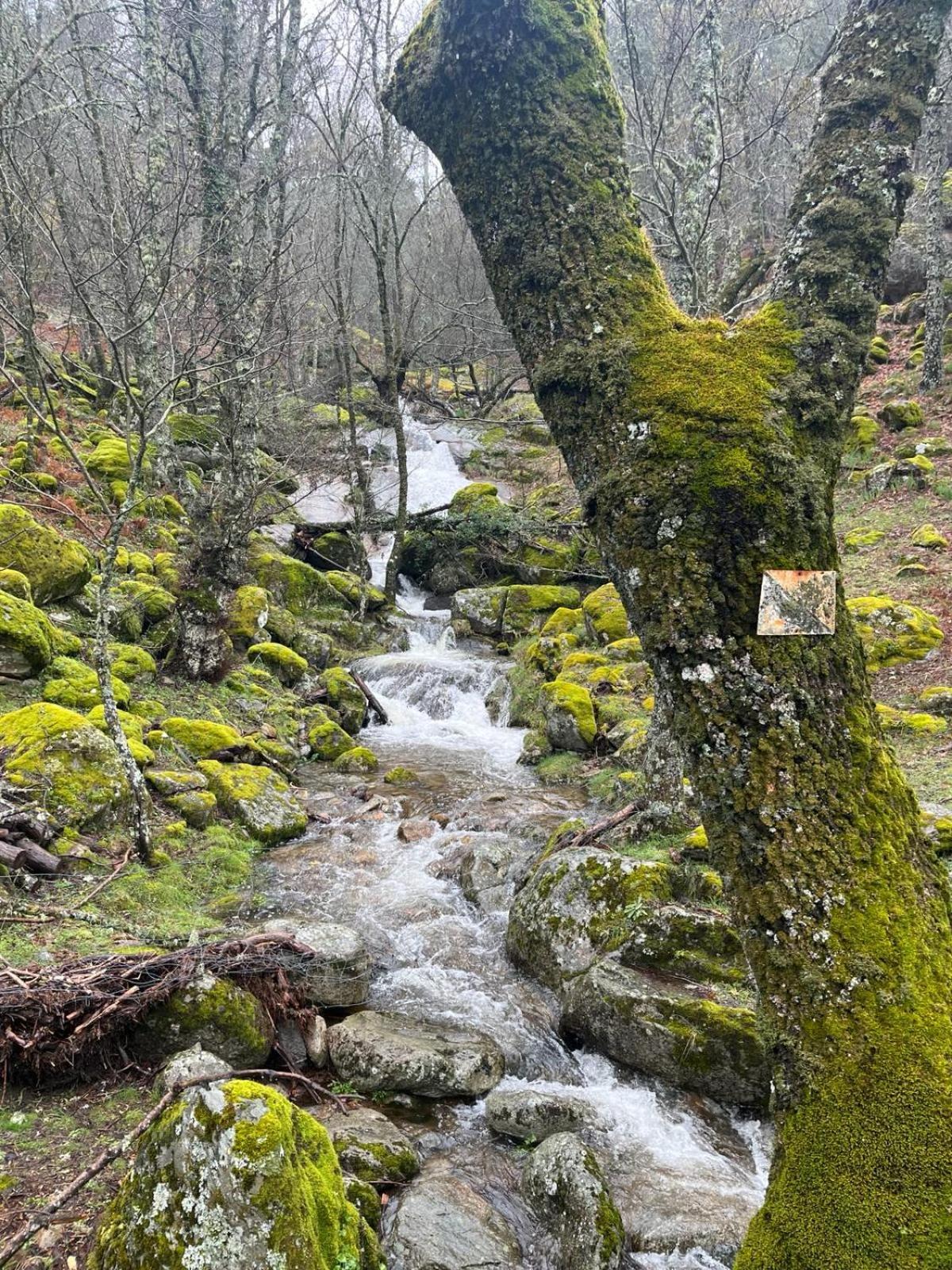 El Secreto Del Arroyo *